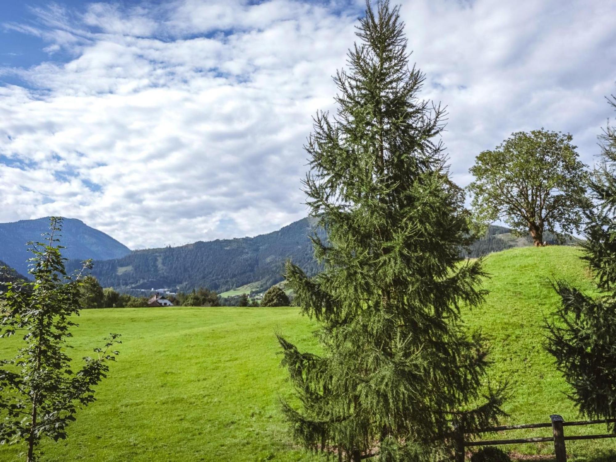 Naturpark Chalet Schladming-Dachstein Grosssolk ภายนอก รูปภาพ
